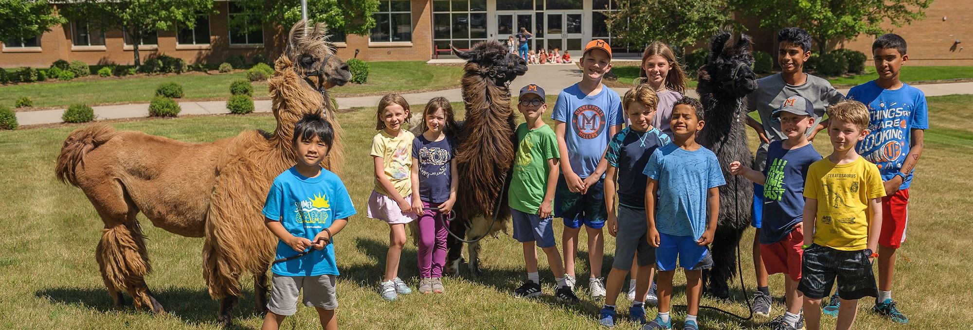 Discovery Kids Summer Camp in Minneapolis | Ages 3–12 - The ...